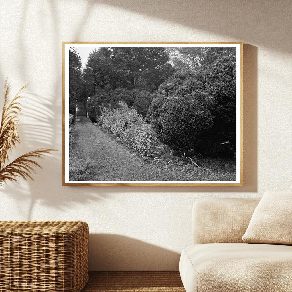 Carters Bridge, Albemarle VA, Historic Photo 1798