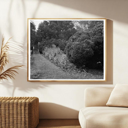 Carters Bridge, Albemarle VA, Historic Photo 1798