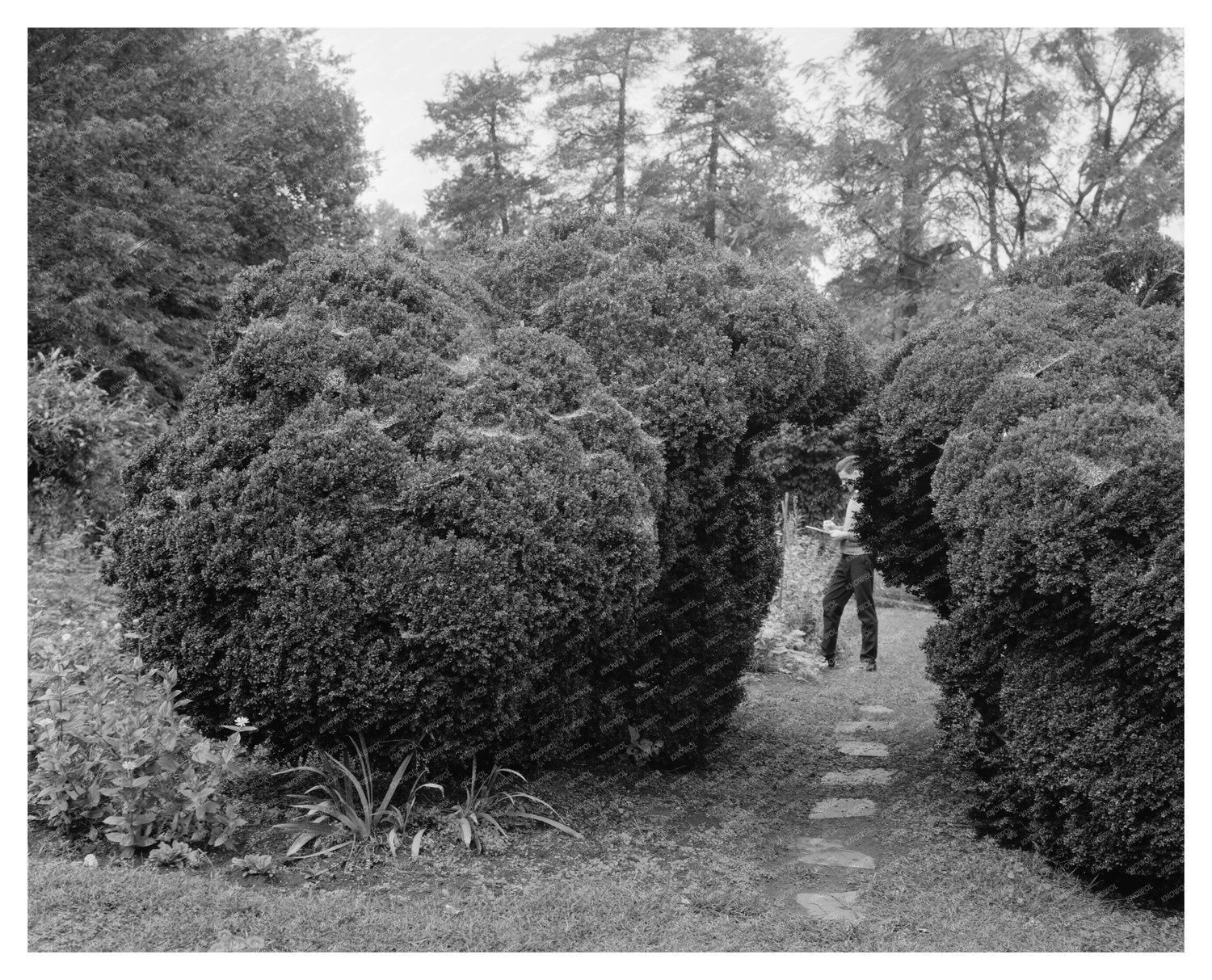 Carters Bridge, Albemarle County, VA, 1798 Historic Photo