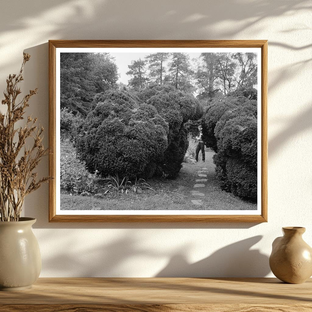 Carters Bridge, Albemarle County, VA, 1798 Historic Photo