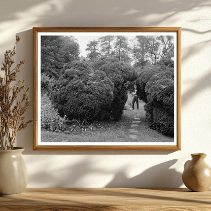 Carters Bridge, Albemarle County, VA, 1798 Historic Photo