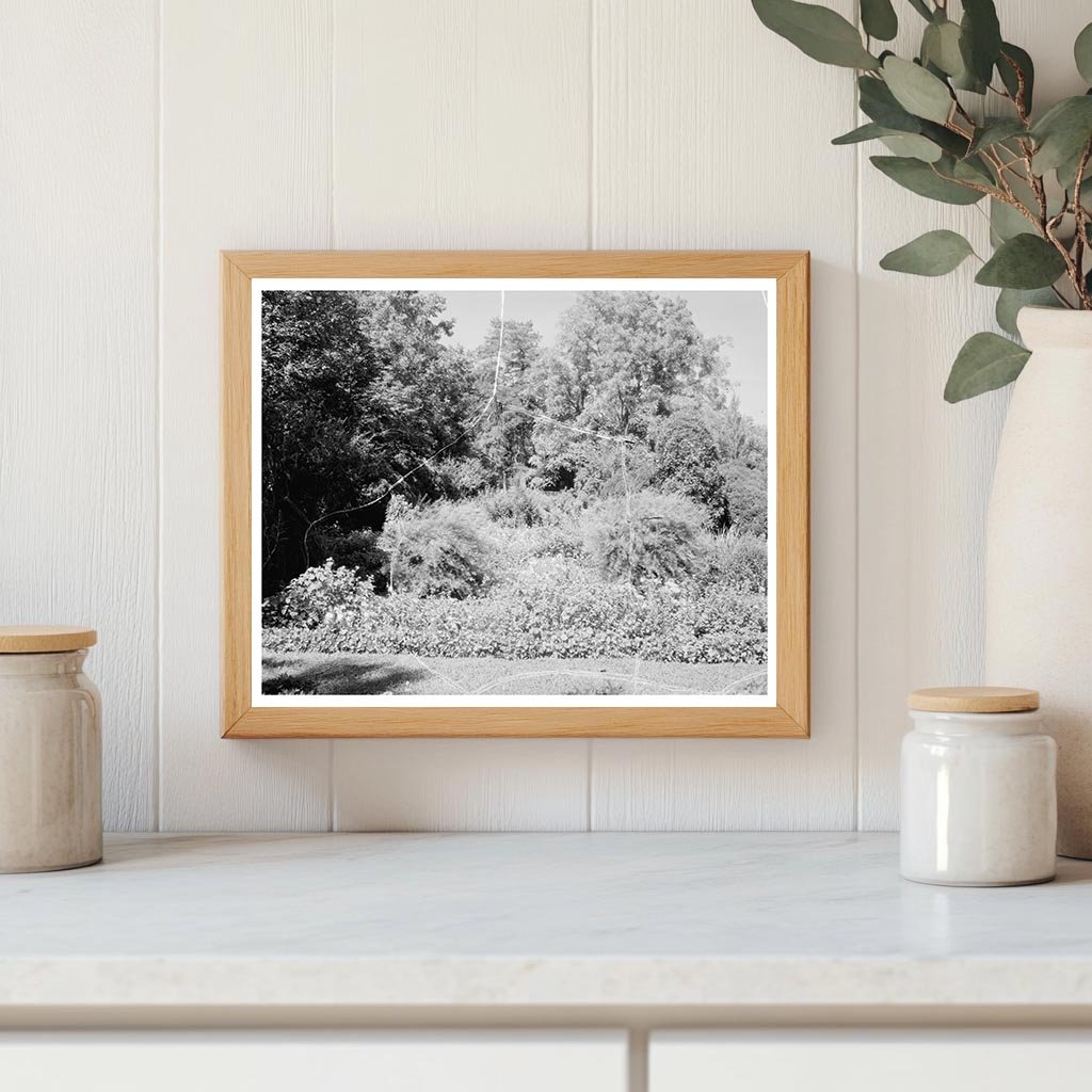 Carters Bridge, Albemarle County, Virginia, 1798 Photograph