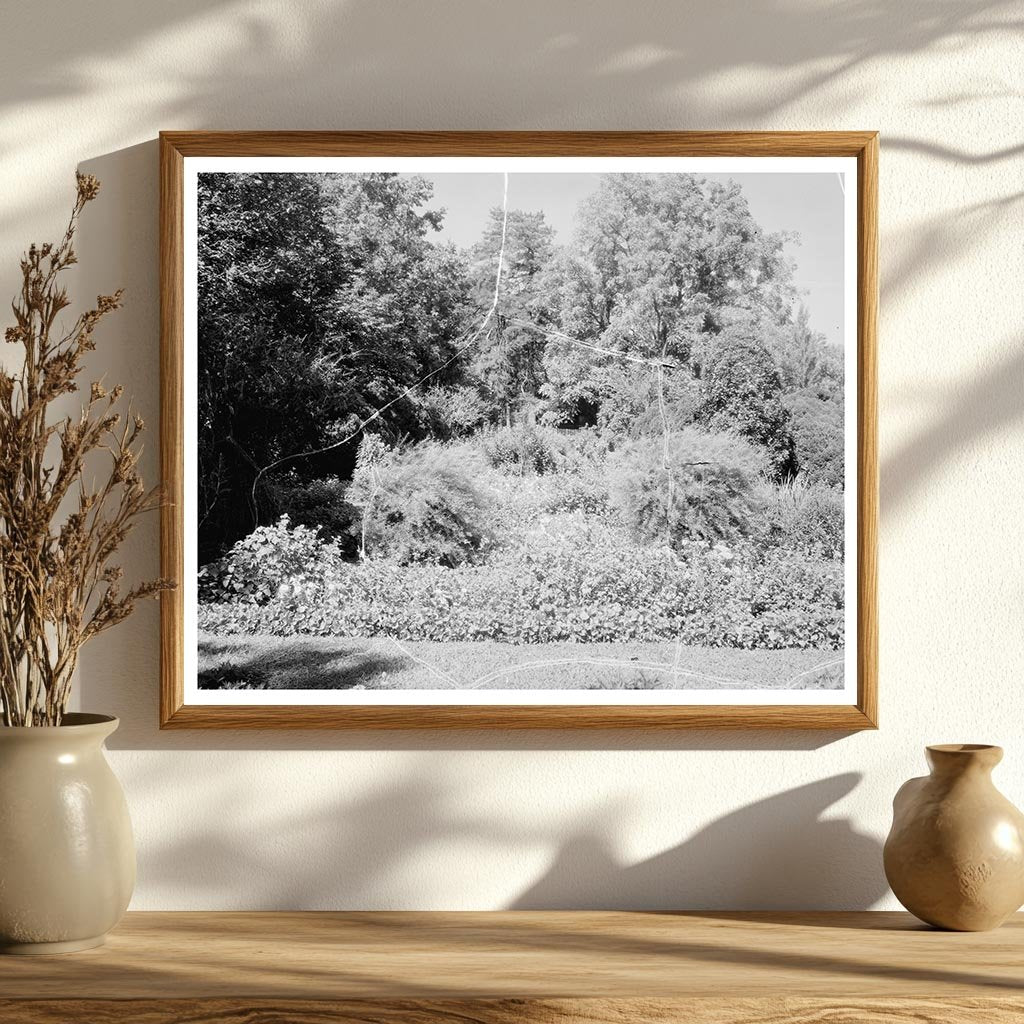 Carters Bridge, Albemarle County, Virginia, 1798 Photograph