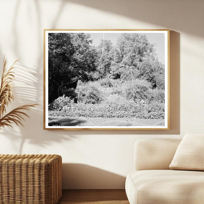 Carters Bridge, Albemarle County, Virginia, 1798 Photograph