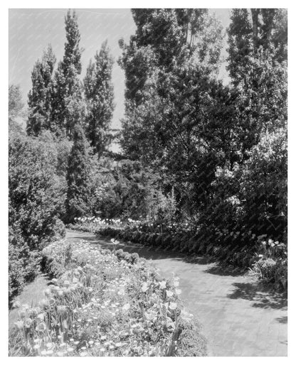 Greenwood, VA Gardens - Vintage Photo from 1900s