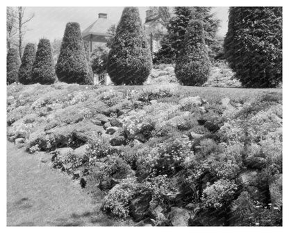Garden Scene in Greenwood, Virginia, Early 20th Century