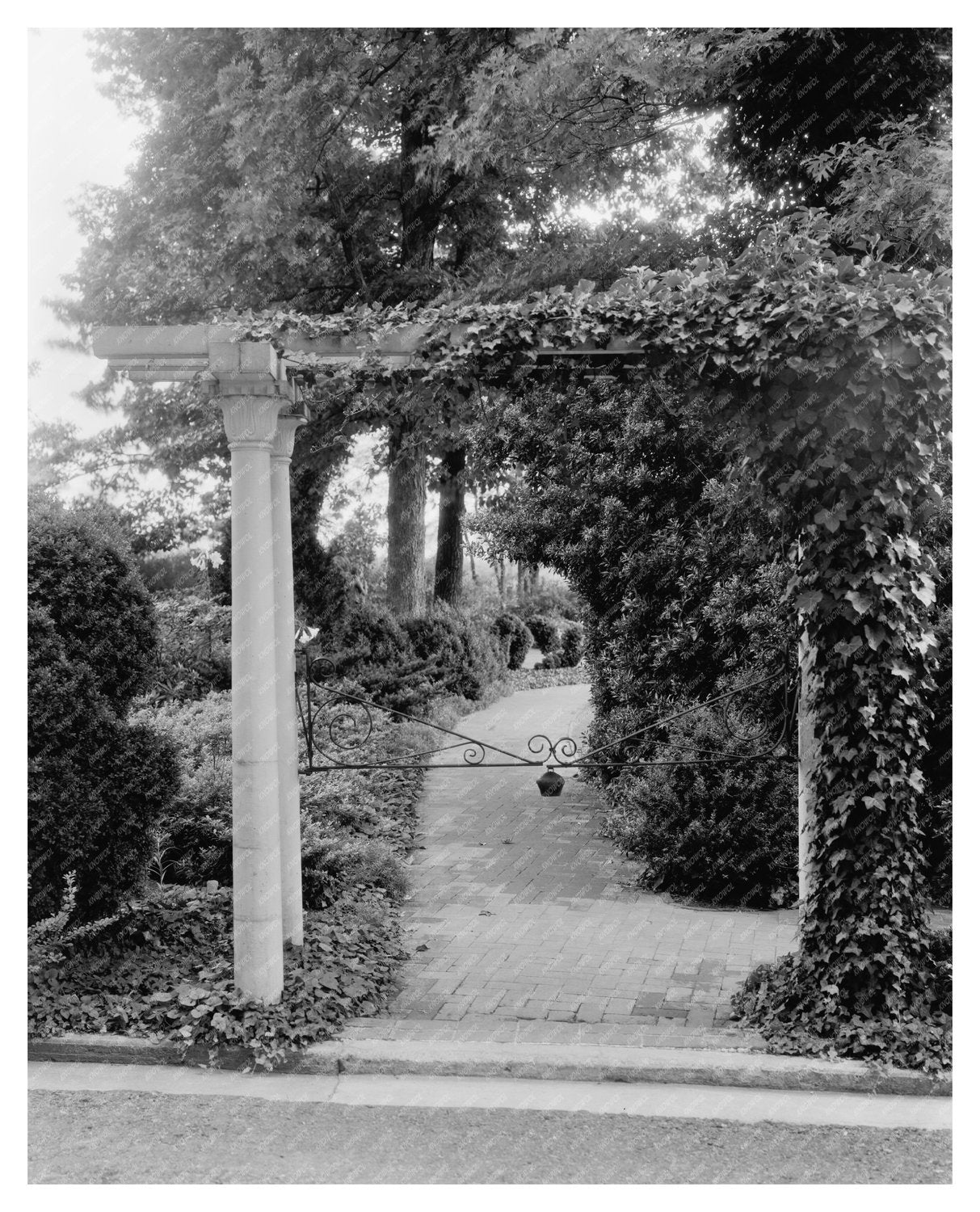 Vintage Garden Arbor Photo, Greenwood VA, 20th Century