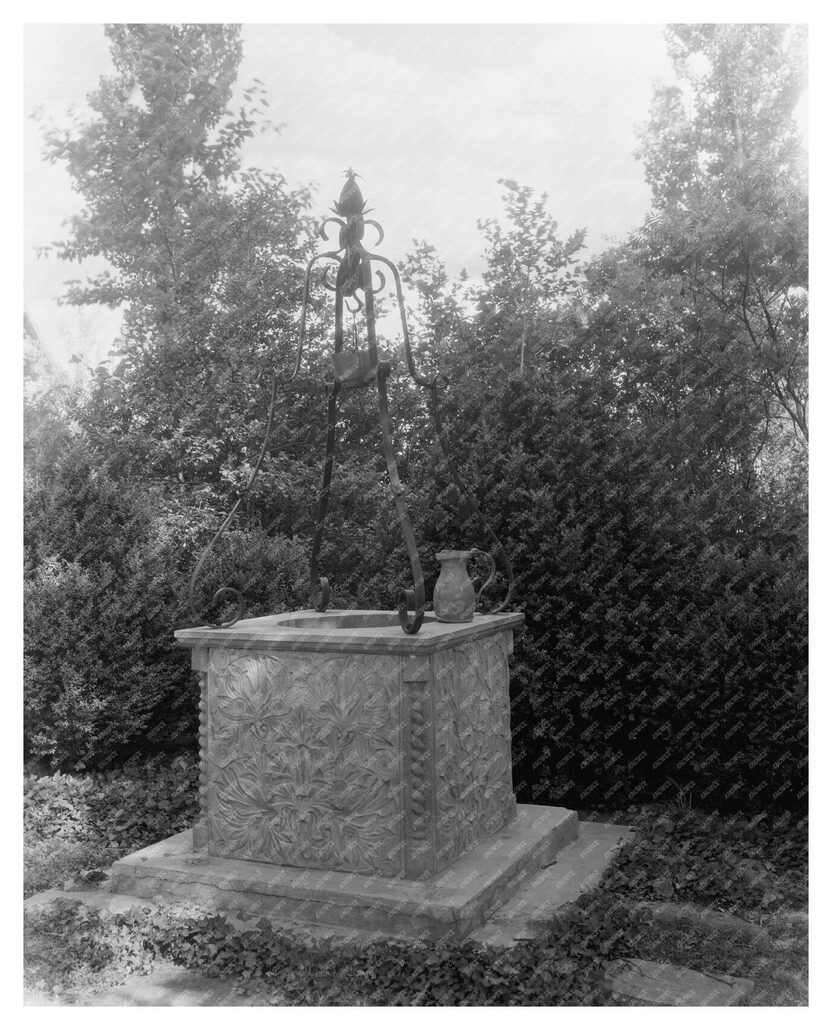Vintage Garden Photo, Greenwood VA, Early 20th Century