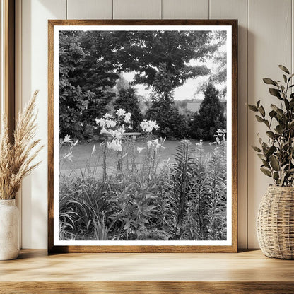 Historic Garden Photo, Greenwood VA, 20th Century