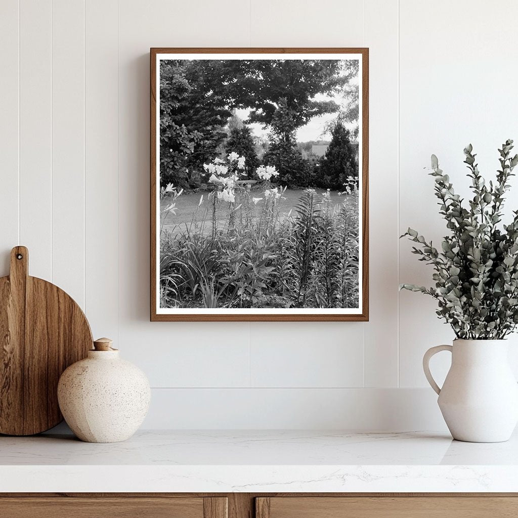 Historic Garden Photo, Greenwood VA, 20th Century