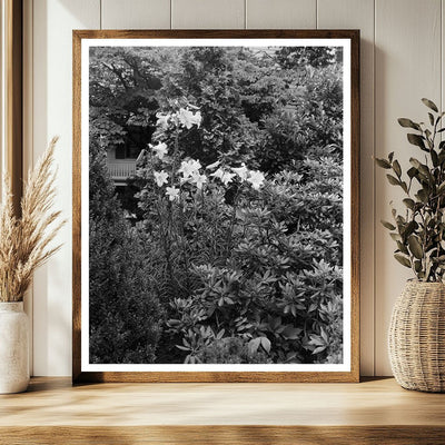 Historic Garden Photo in Greenwood, VA 20th Century