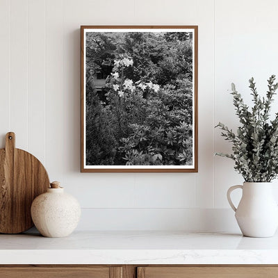 Historic Garden Photo in Greenwood, VA 20th Century