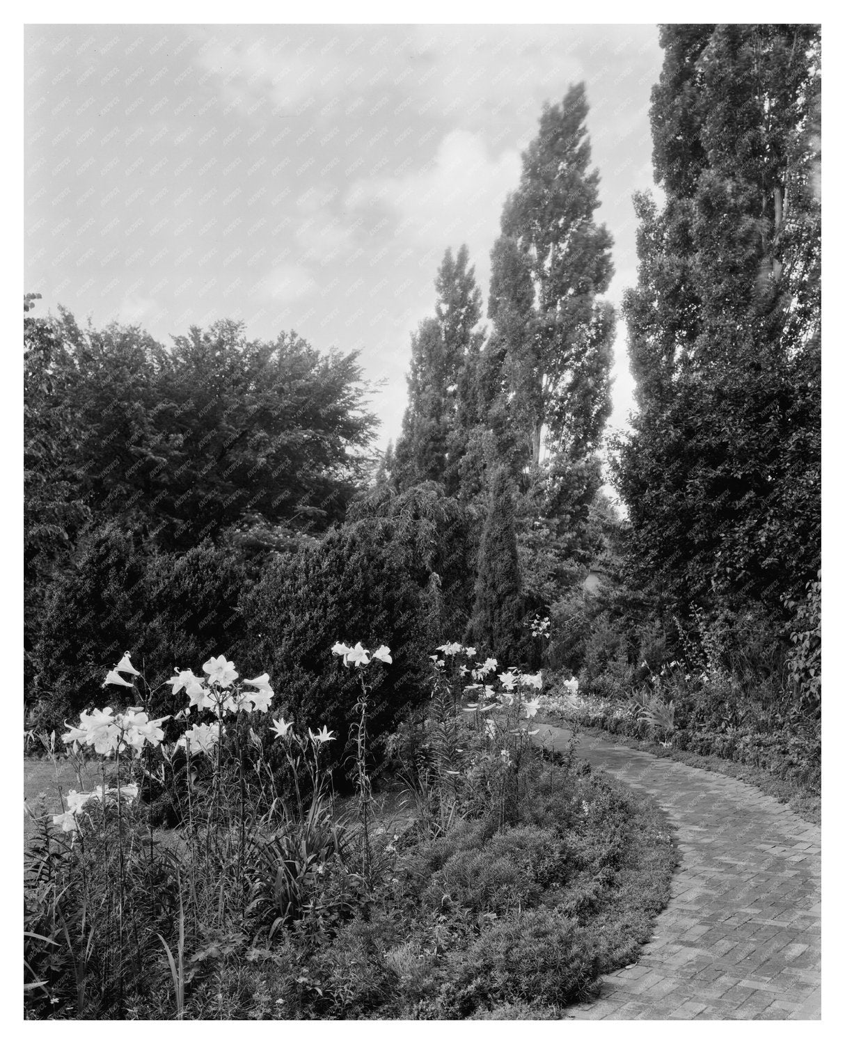 Greenwood Gardens, Albemarle County, VA, Early 1900s Photo