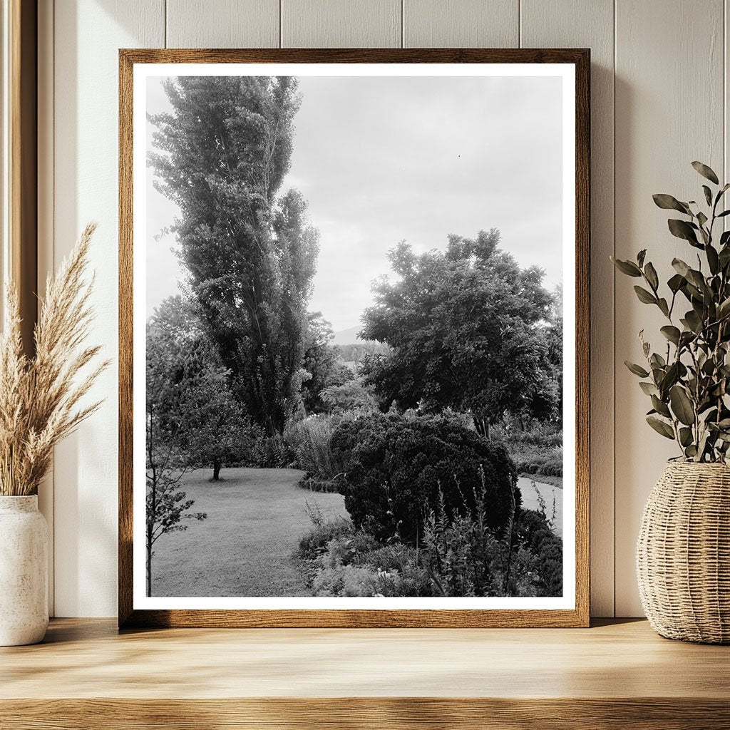 Vintage Photo of Greenwood, VA Garden - 20th Century