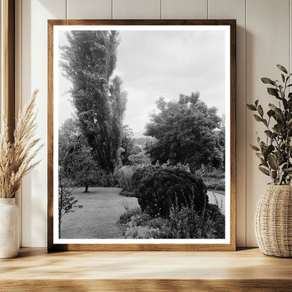 Vintage Photo of Greenwood, VA Garden - 20th Century