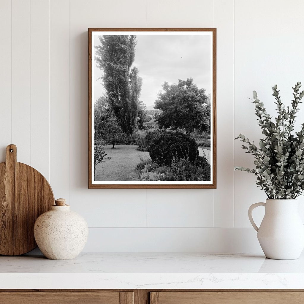 Vintage Photo of Greenwood, VA Garden - 20th Century