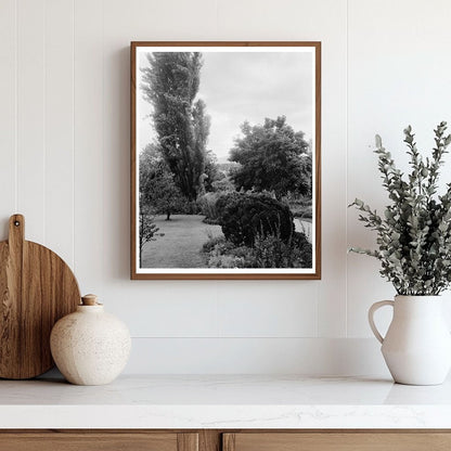 Vintage Photo of Greenwood, VA Garden - 20th Century