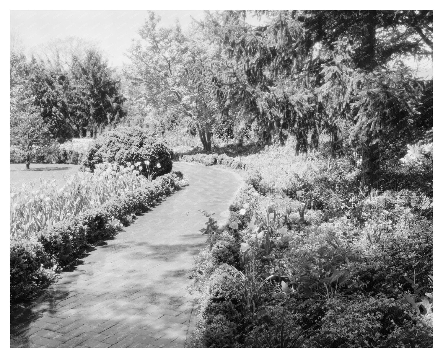 Greenwood Virginia 1930s: Antique Architectural Photograph