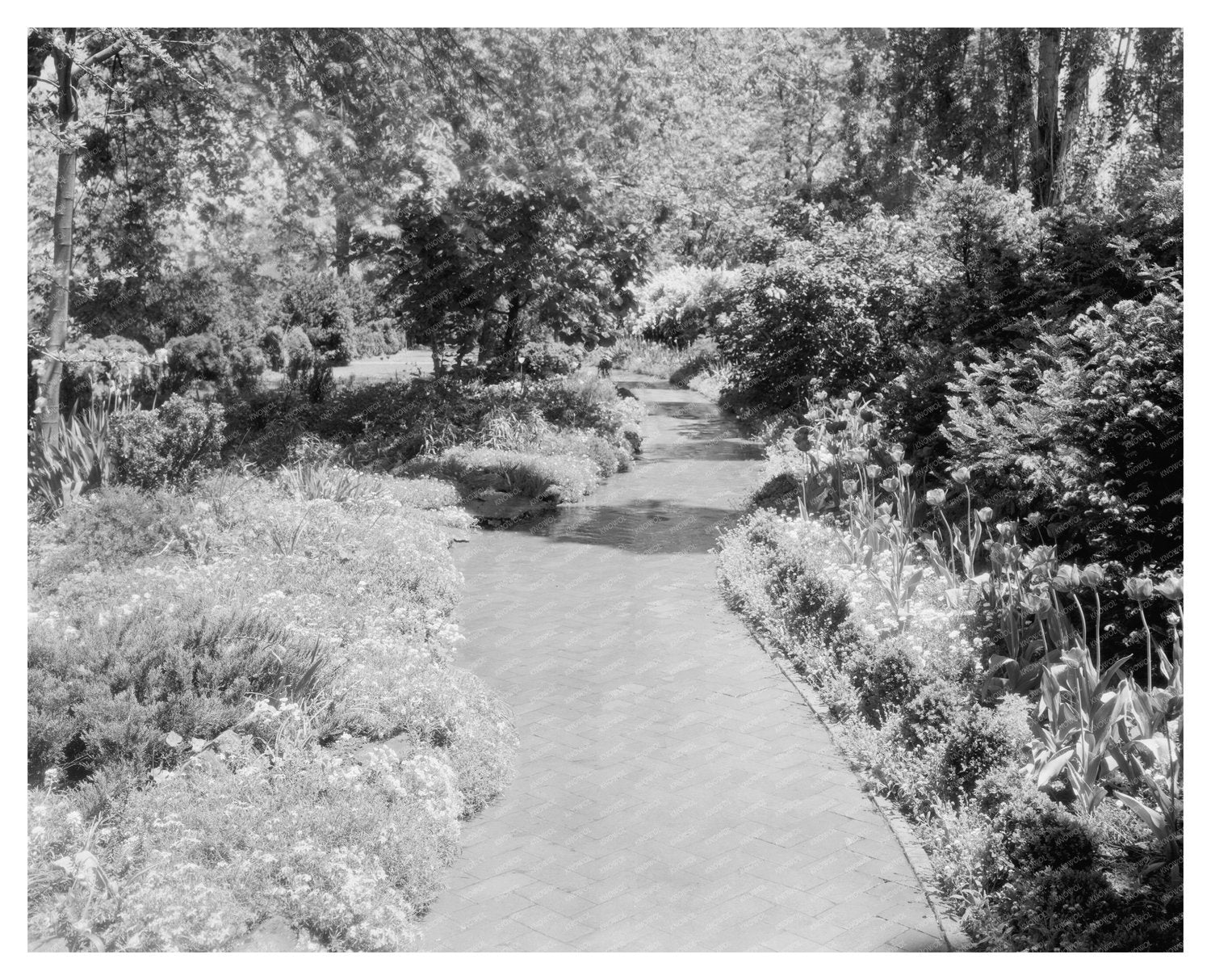 Early 1900s Garden Landscape in Greenwood, Virginia