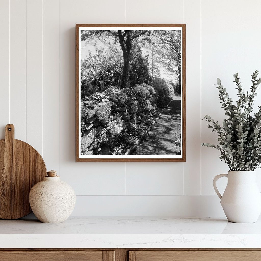 Greenwood, VA Vintage Photo - Carnegie Survey 1910s