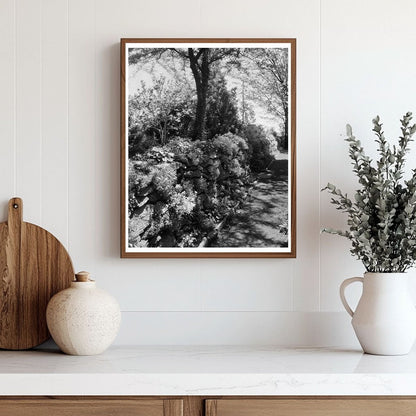 Greenwood, VA Vintage Photo - Carnegie Survey 1910s