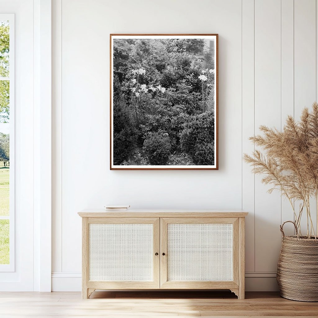 Vintage Garden Scene in Greenwood, Virginia, 20th Century