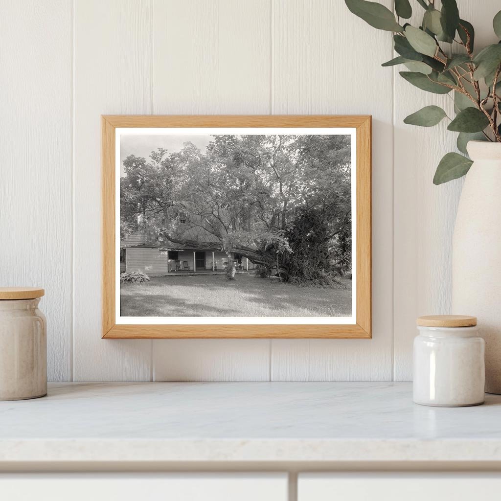 Historic House in Campbell, VA - 1732 Architecture