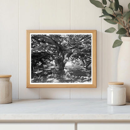 Vintage Photo of Green Mountain, VA Architecture (1810-1812)