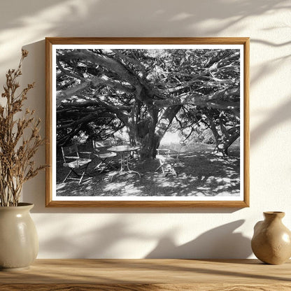 Vintage Photo of Green Mountain, VA Architecture (1810-1812)