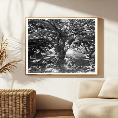 Vintage Photo of Green Mountain, VA Architecture (1810-1812)