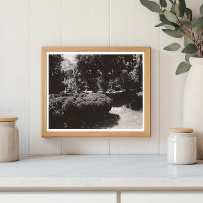 Charlottesville VA Garden Photo, Carnegie Survey 1900s