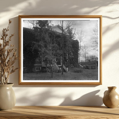 Log Cabin in Amherst County, Virginia, 1953 Image