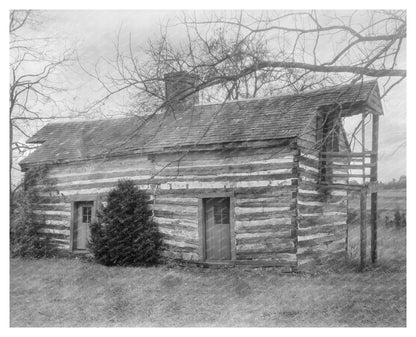 Log Cabin in Amherst County, Virginia, 19th Century