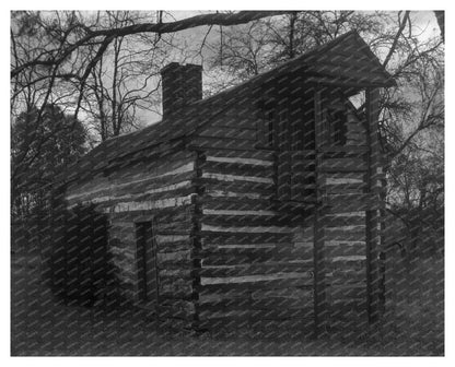 Log Cabin in Amherst County, Virginia - 20th Century Photo