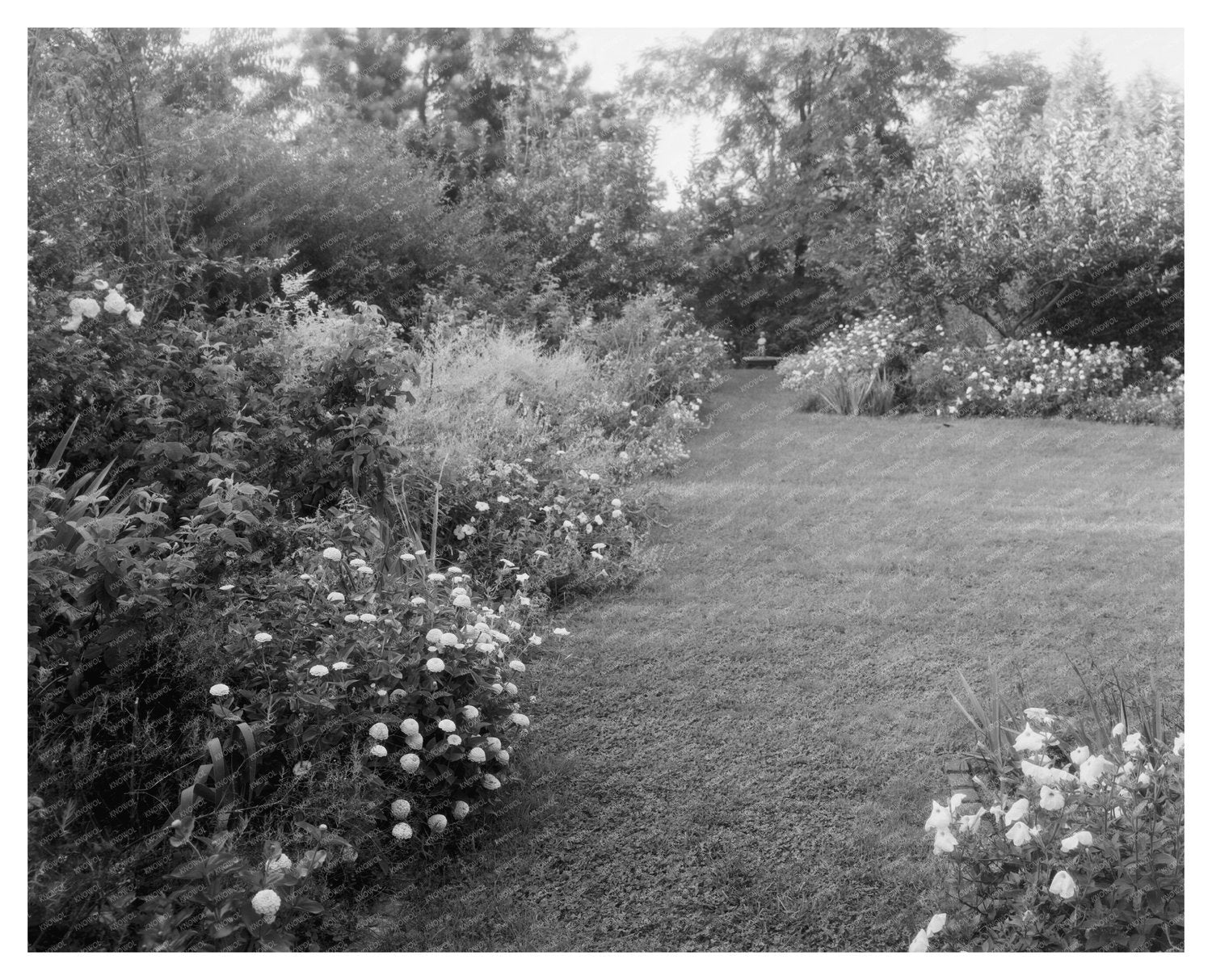 Staunton VA Garden Scene - 1953 Vintage Photograph
