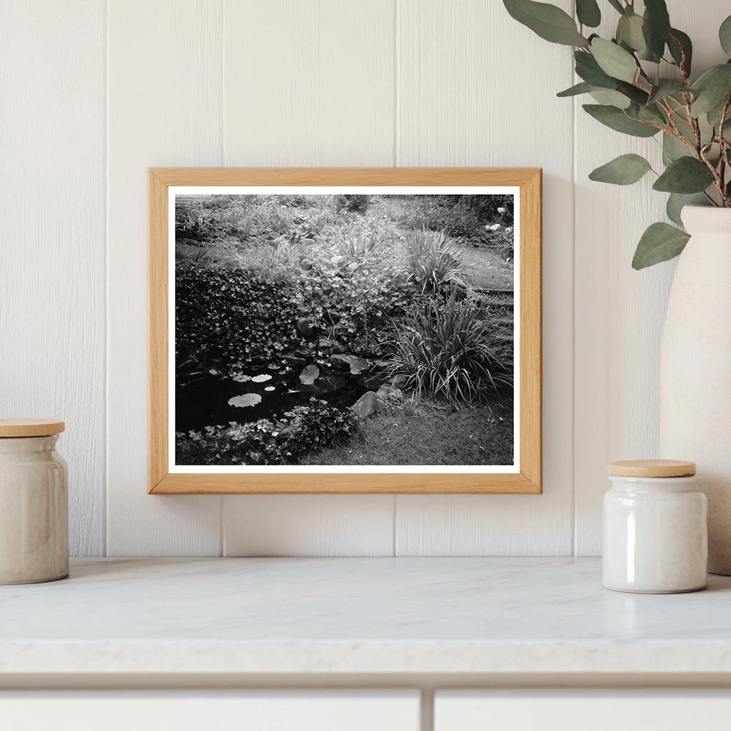 Staunton VA Water Garden Photo, 1953