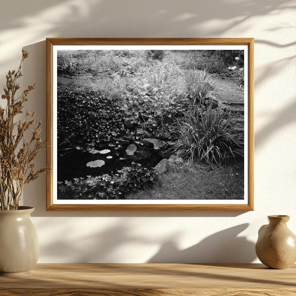 Staunton VA Water Garden Photo, 1953