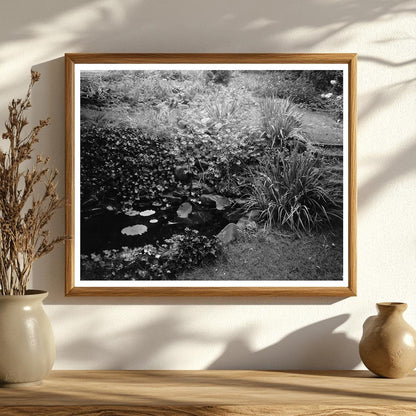 Staunton VA Water Garden Photo, 1953