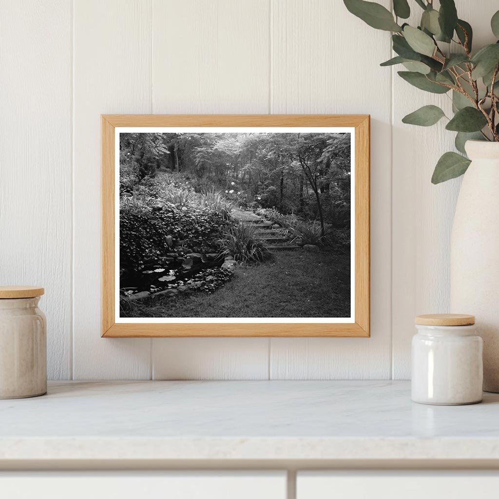 Water Garden in Staunton, VA - 20th Century Photo