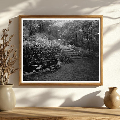 Water Garden in Staunton, VA - 20th Century Photo