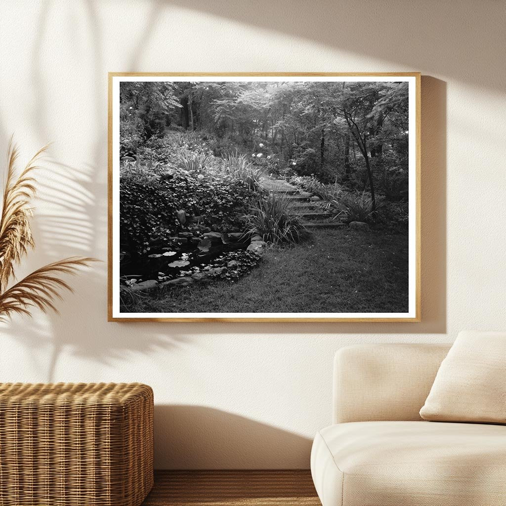 Water Garden in Staunton, VA - 20th Century Photo