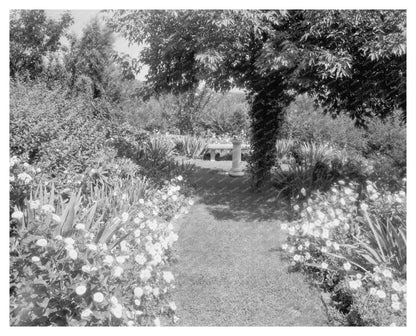 Garden Scene in Staunton, Virginia 20th Century