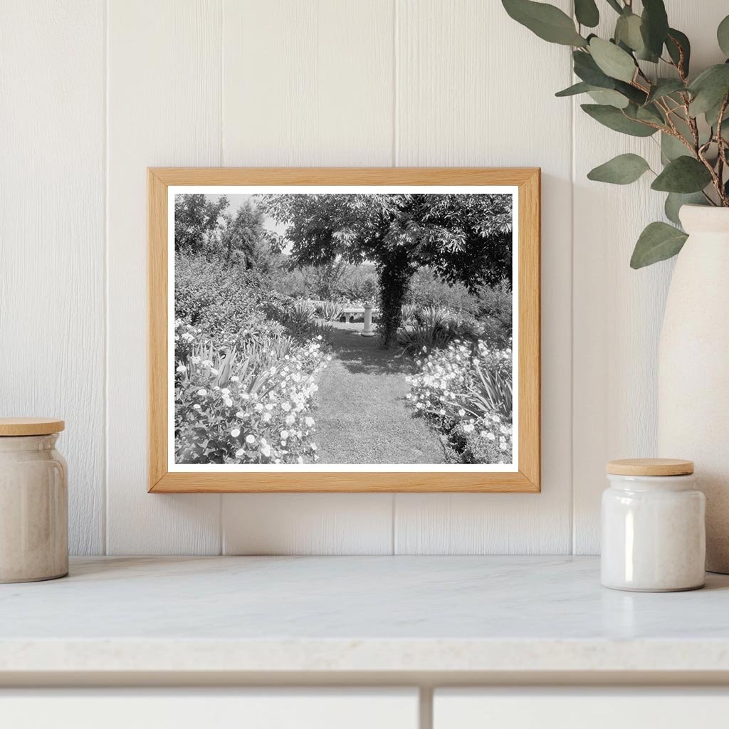 Garden Scene in Staunton, Virginia 20th Century