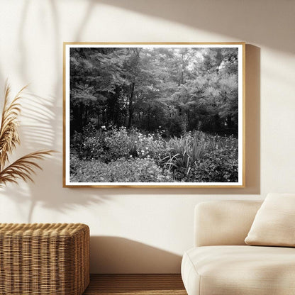 Staunton VA Garden Scene, Mid-20th Century