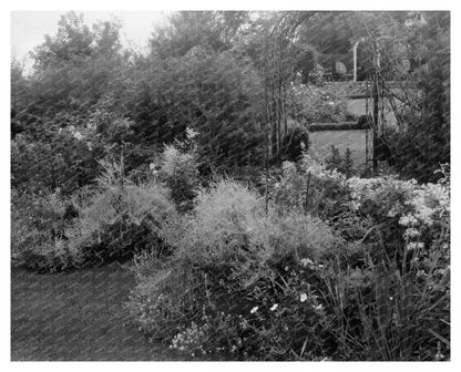 Vintage Garden Photo, Staunton VA, 20th Century