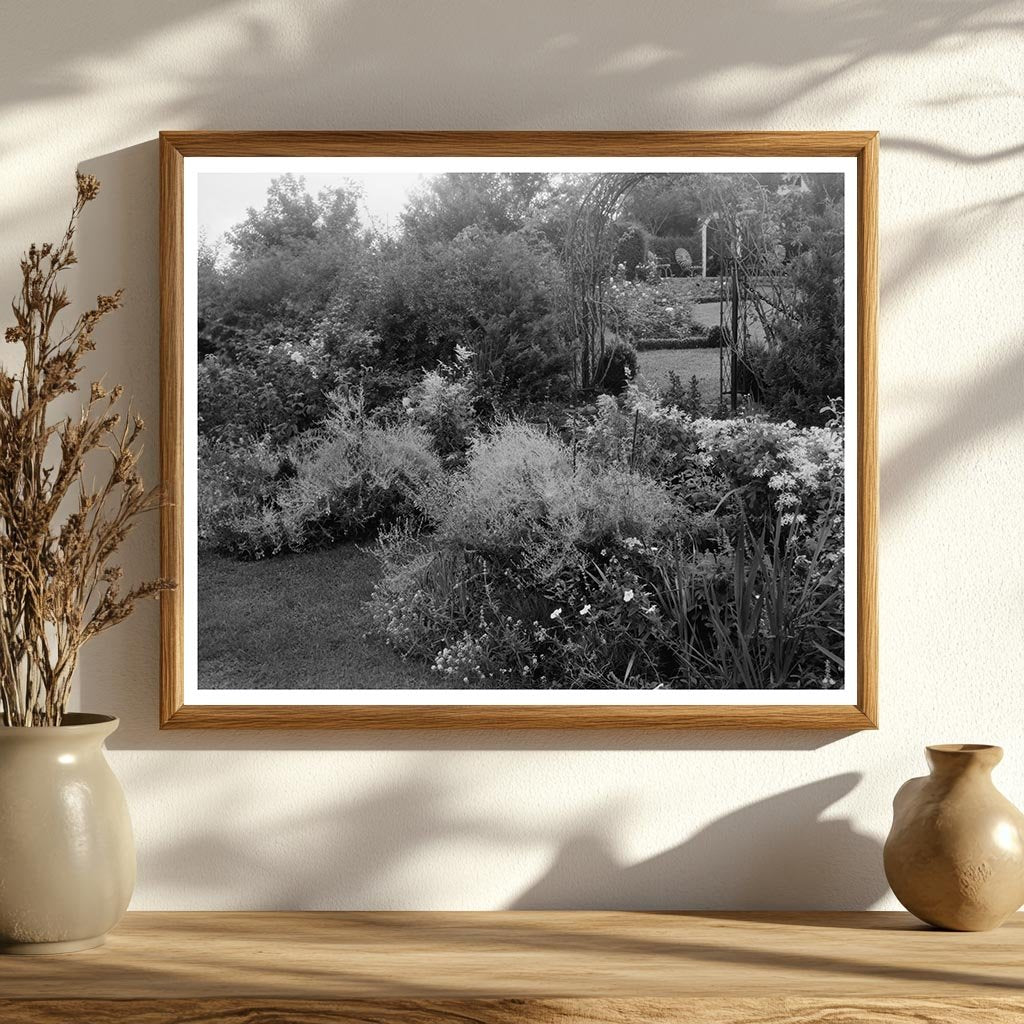 Vintage Garden Photo, Staunton VA, 20th Century