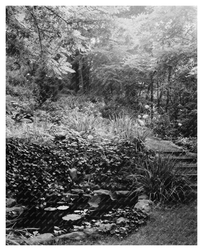 Water Garden in Staunton, VA - 20th Century Photograph