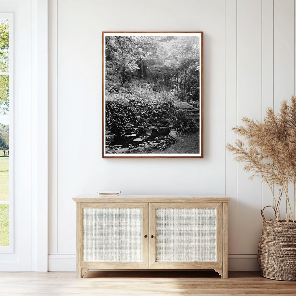 Water Garden in Staunton, VA - 20th Century Photograph