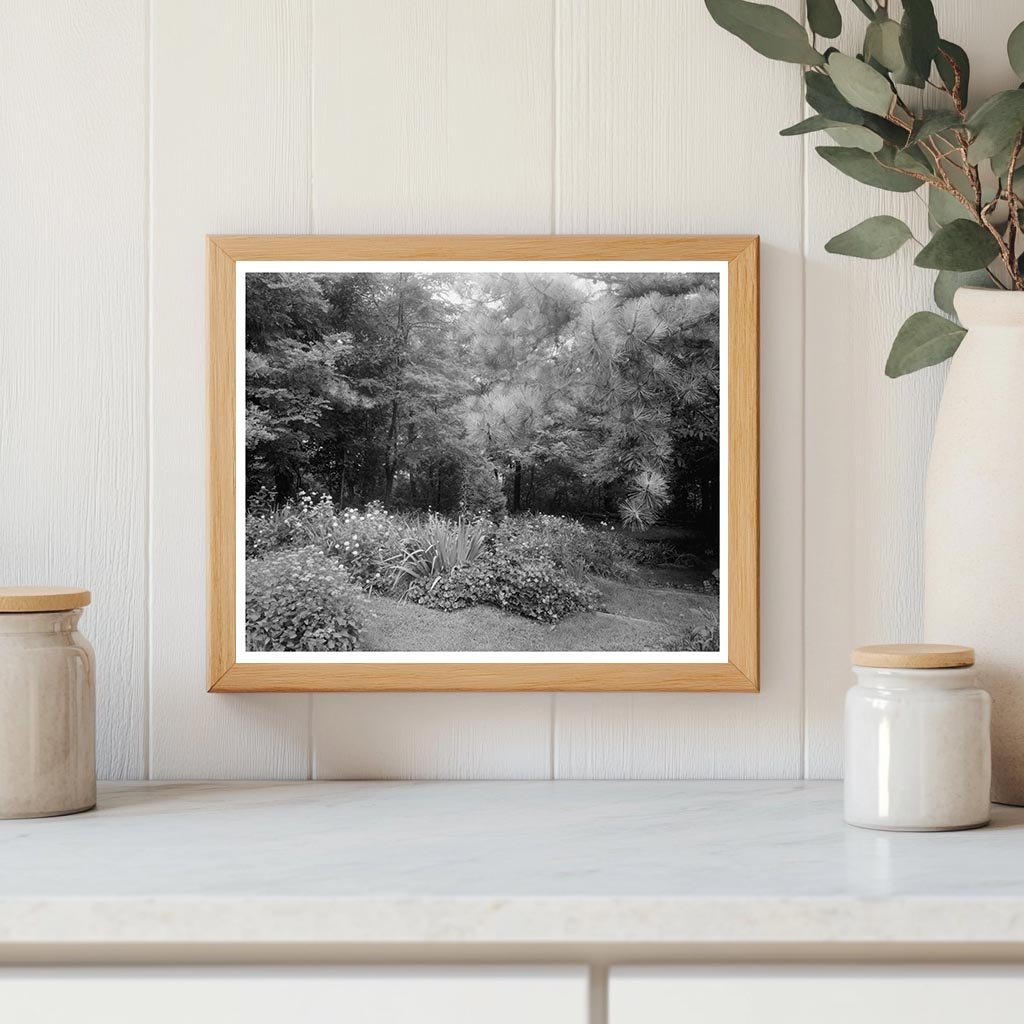 Staunton VA Architecture Photo, Carnegie Survey 20th Century