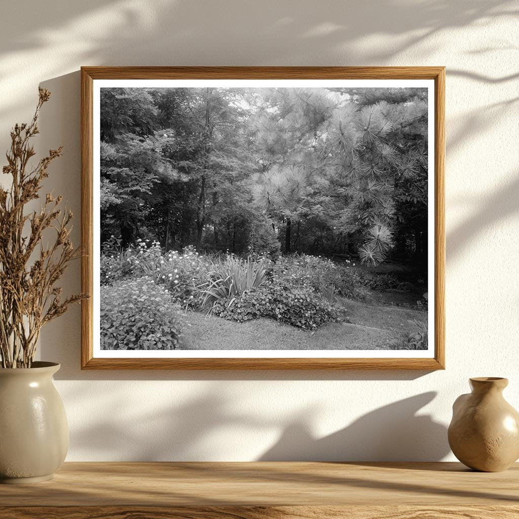 Staunton VA Architecture Photo, Carnegie Survey 20th Century